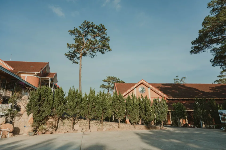 Hình ảnh tại Lê Thị Tuyết 4